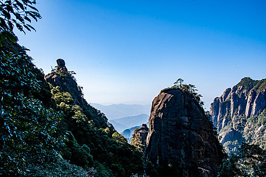 昏迷水哪里有卖F3381681-338168